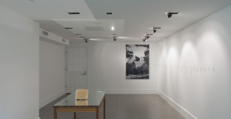 These_transitional_spaces_installation_view_downstairs