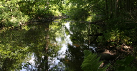 landtrust image
